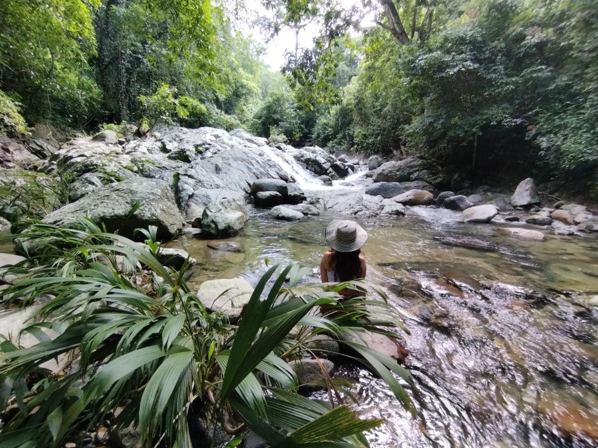 Serrano Tayrona Lodge El Zaino Zewnętrze zdjęcie