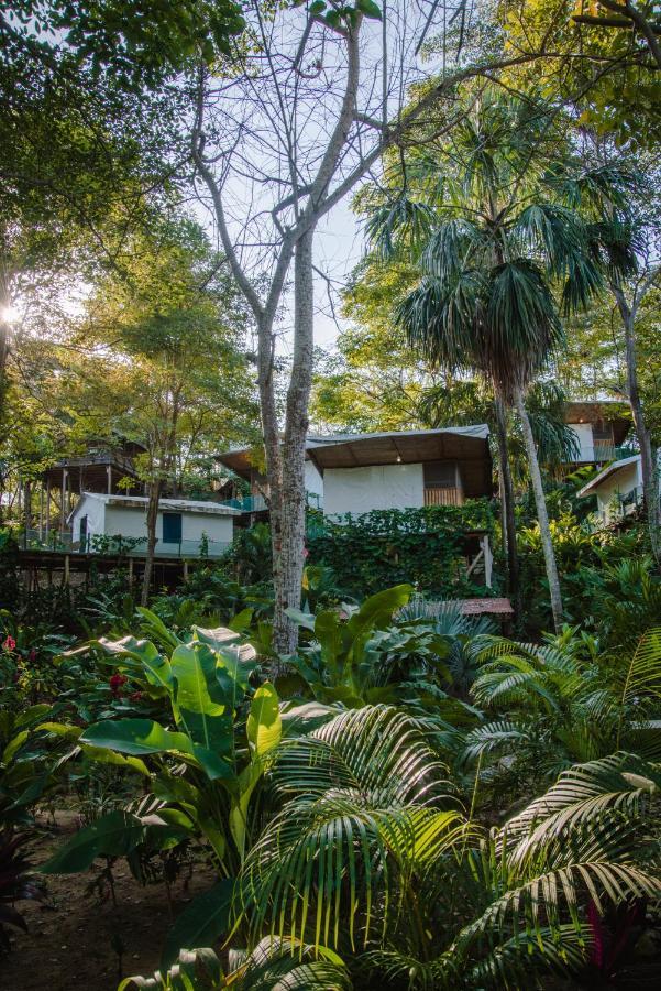 Serrano Tayrona Lodge El Zaino Zewnętrze zdjęcie