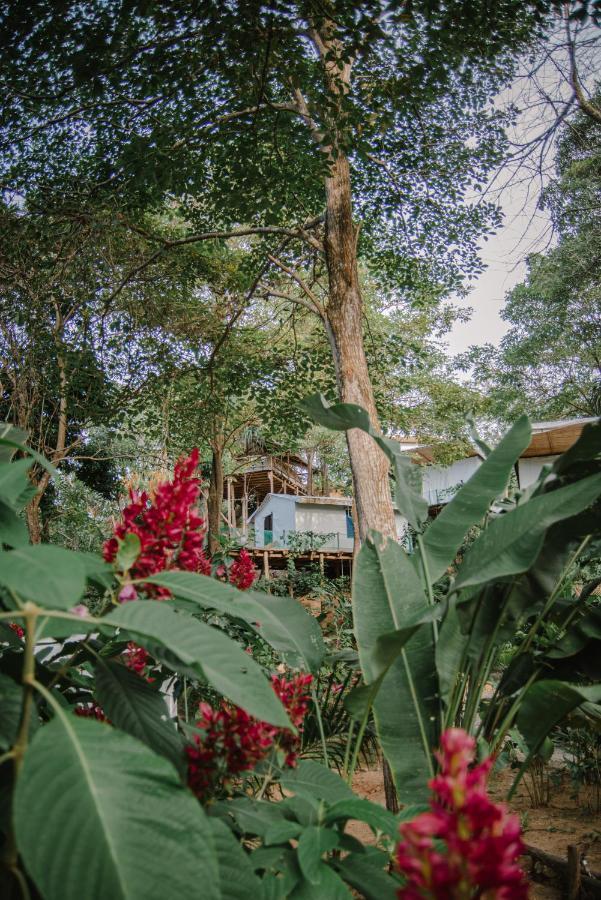 Serrano Tayrona Lodge El Zaino Zewnętrze zdjęcie