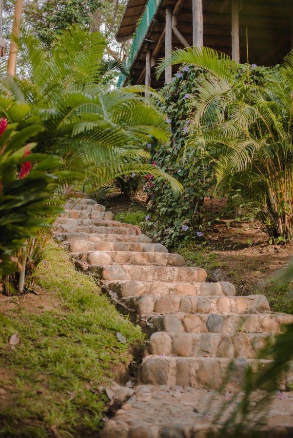 Serrano Tayrona Lodge El Zaino Zewnętrze zdjęcie
