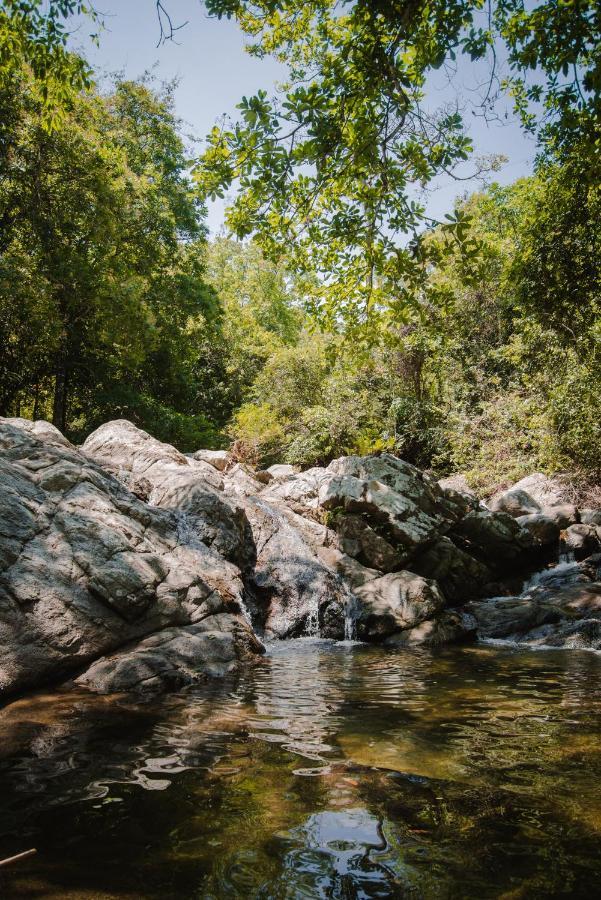 Serrano Tayrona Lodge El Zaino Zewnętrze zdjęcie