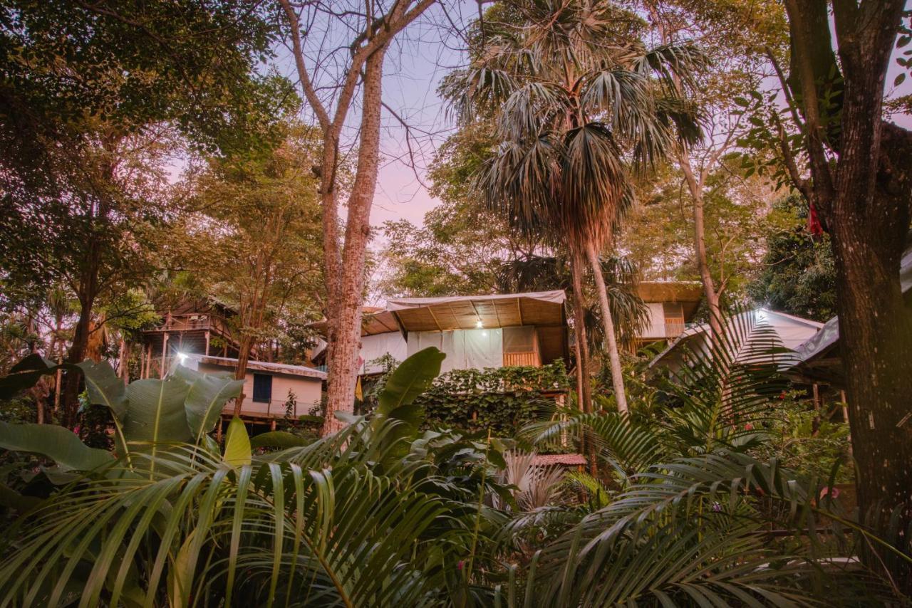 Serrano Tayrona Lodge El Zaino Zewnętrze zdjęcie