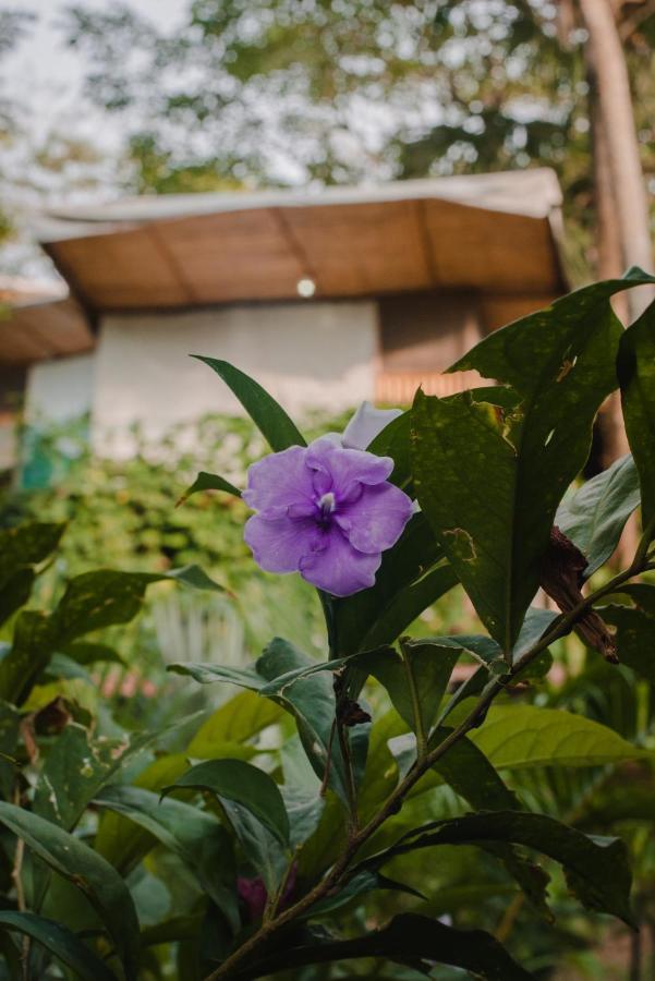 Serrano Tayrona Lodge El Zaino Zewnętrze zdjęcie